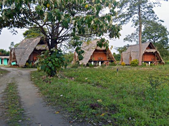 Jungle Admist Camping In Mussoorie - Skysafar.com