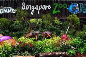 Singapore Zoo Ticke