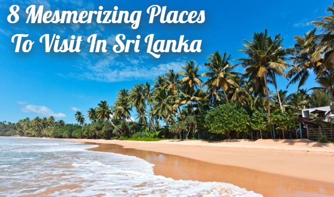 Travel Packages Sri Lanka