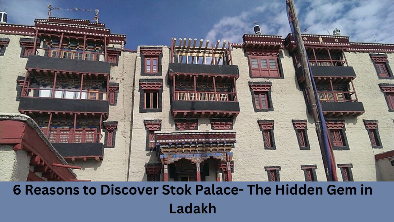 6 reasons to discover stok palace