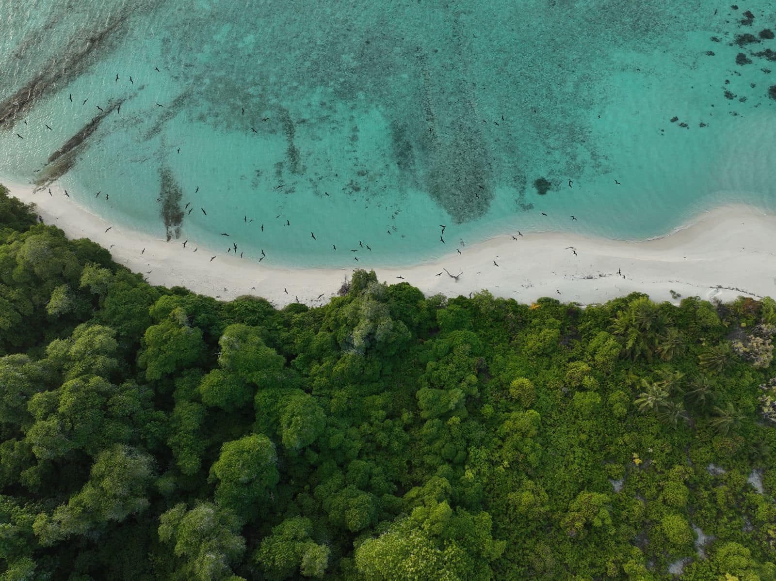Exploring the Enchanting Huvadhu Atoll Tourist Attractions