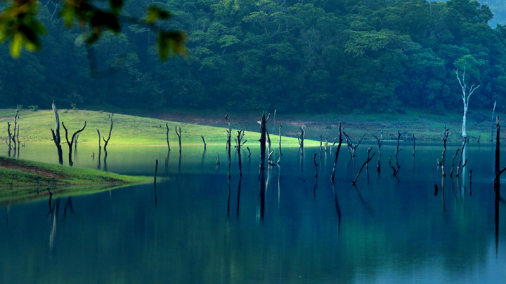 Exciting Things To Do In Thekkady