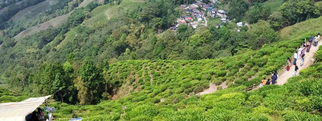 Top five things to do in Darjeeling