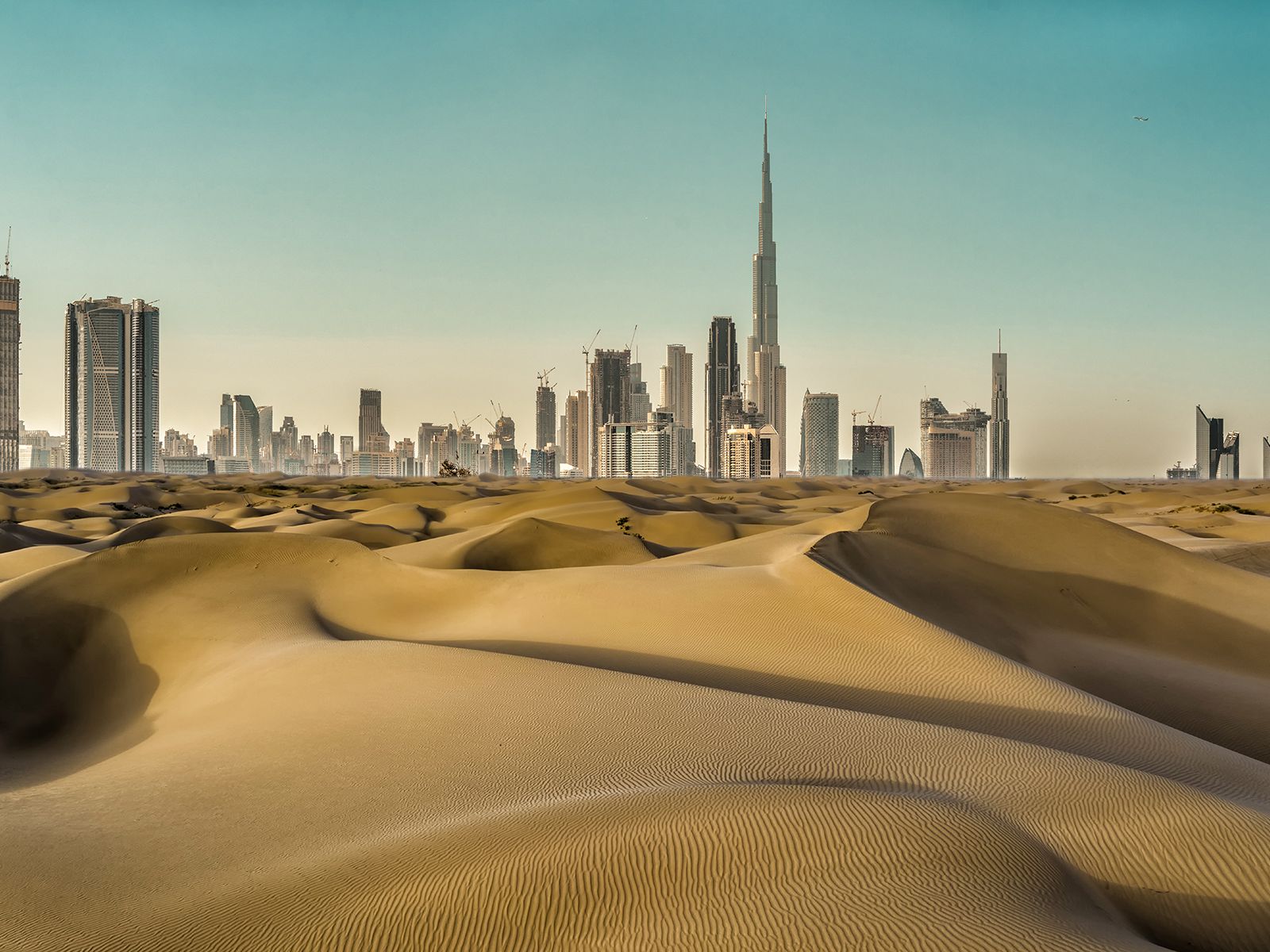 Explore the Beauty of Dubai