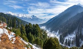 Shimla