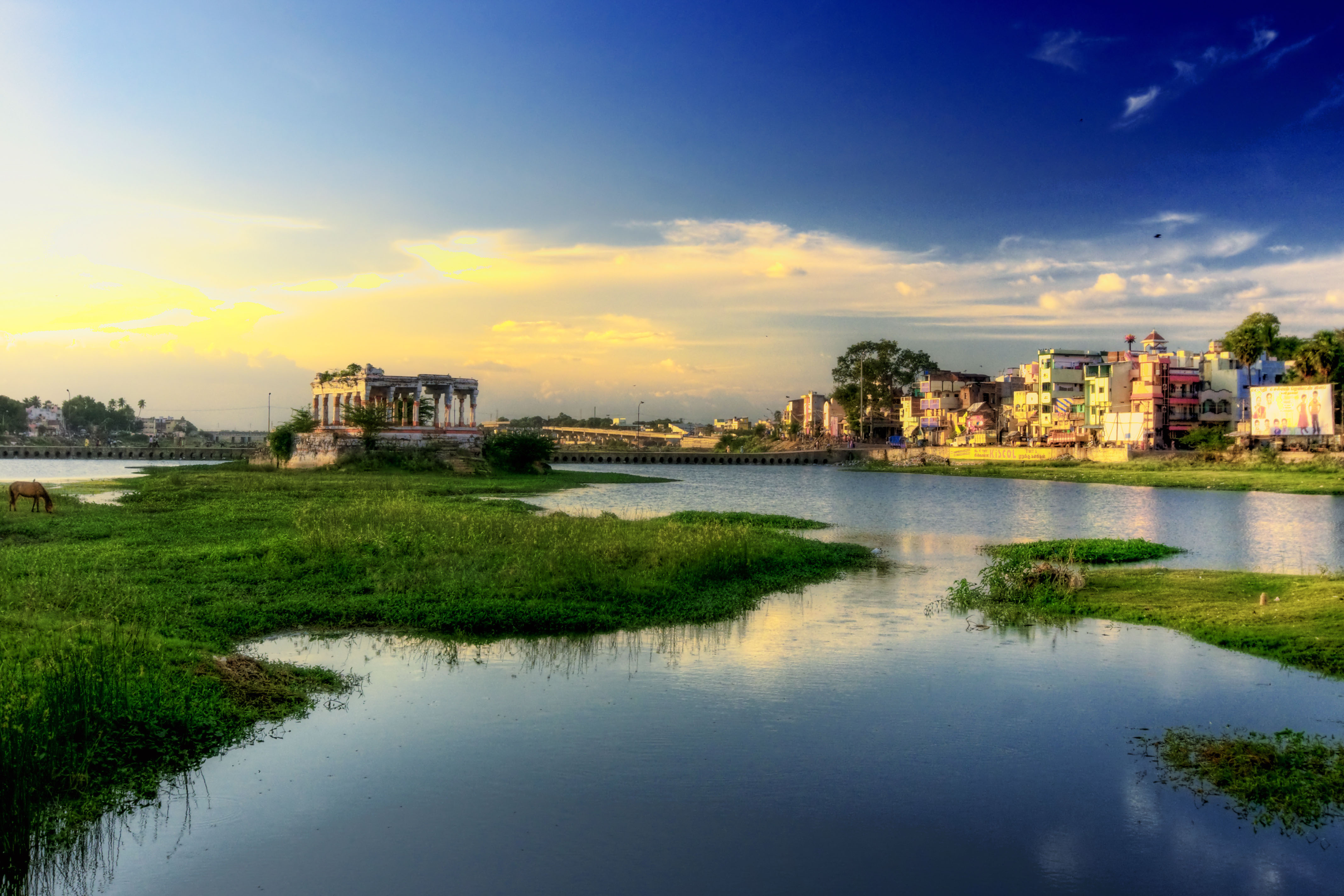 Tamil Nadu