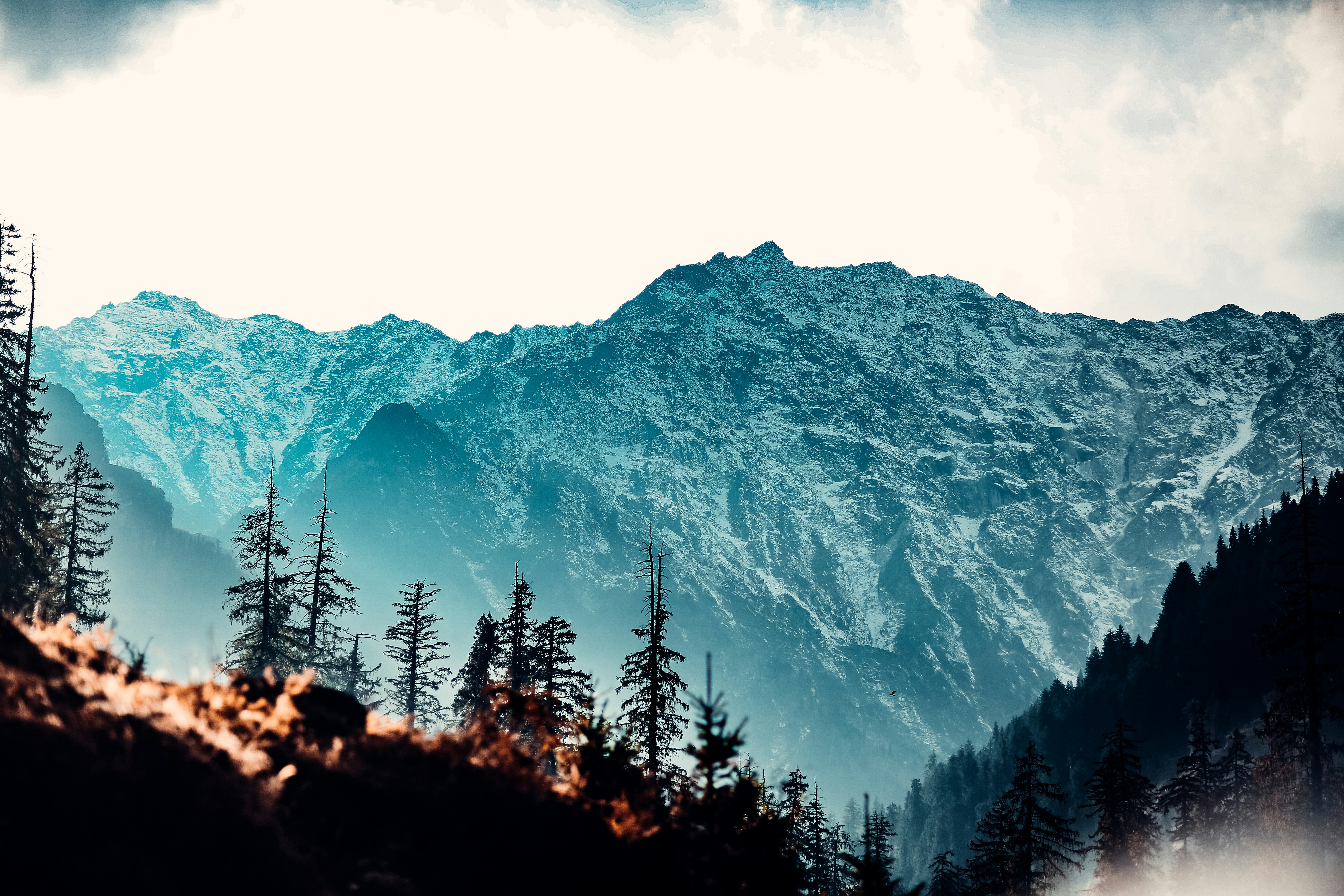 Himachal Packages