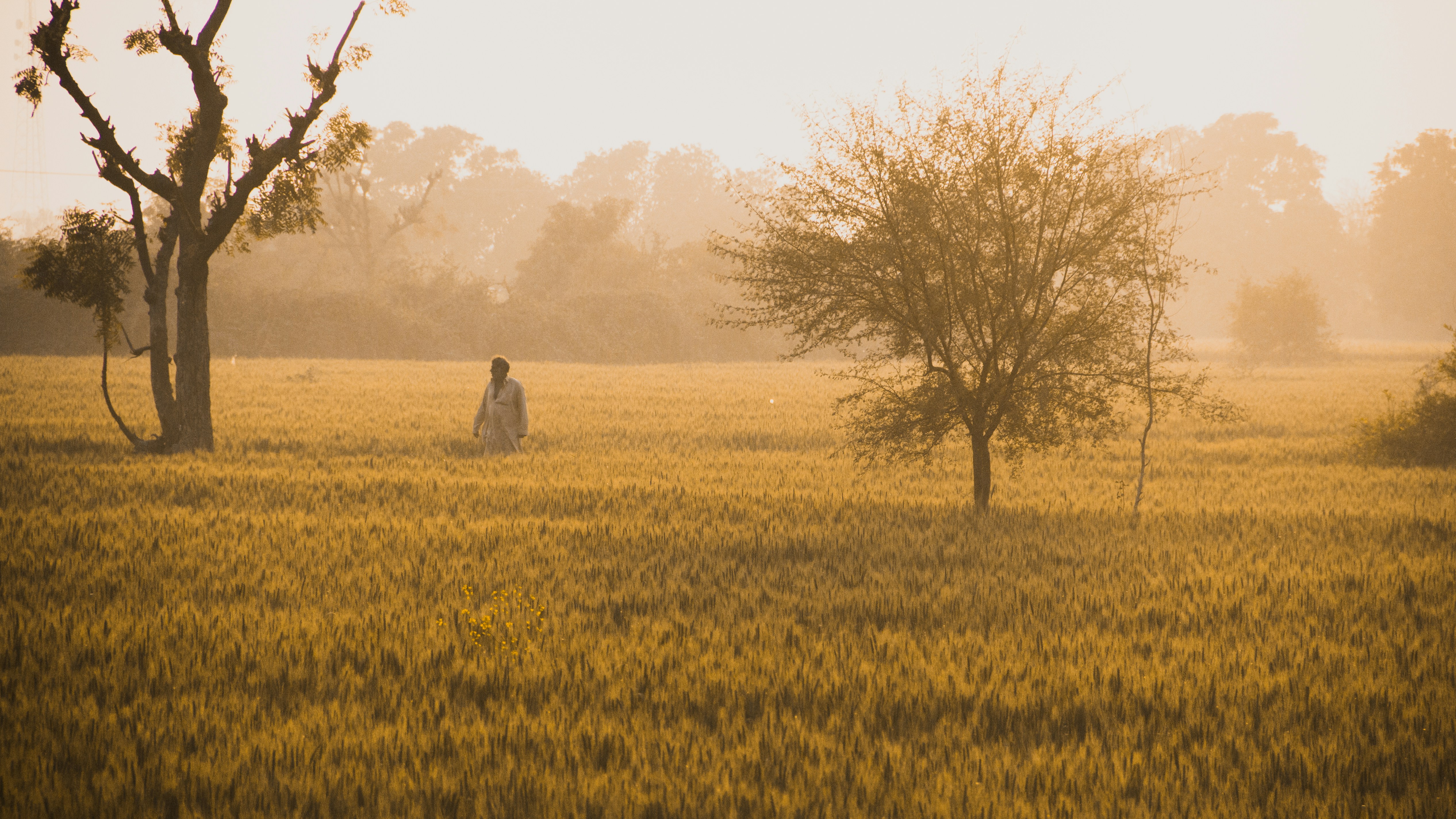 Punjab
