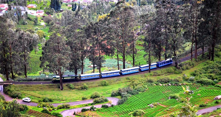 Toy train