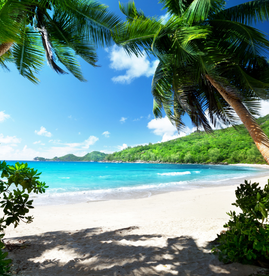 Seychelles Tour Packages- Book Seychelles holiday and Vacation Packages with Dreamland Travel, India