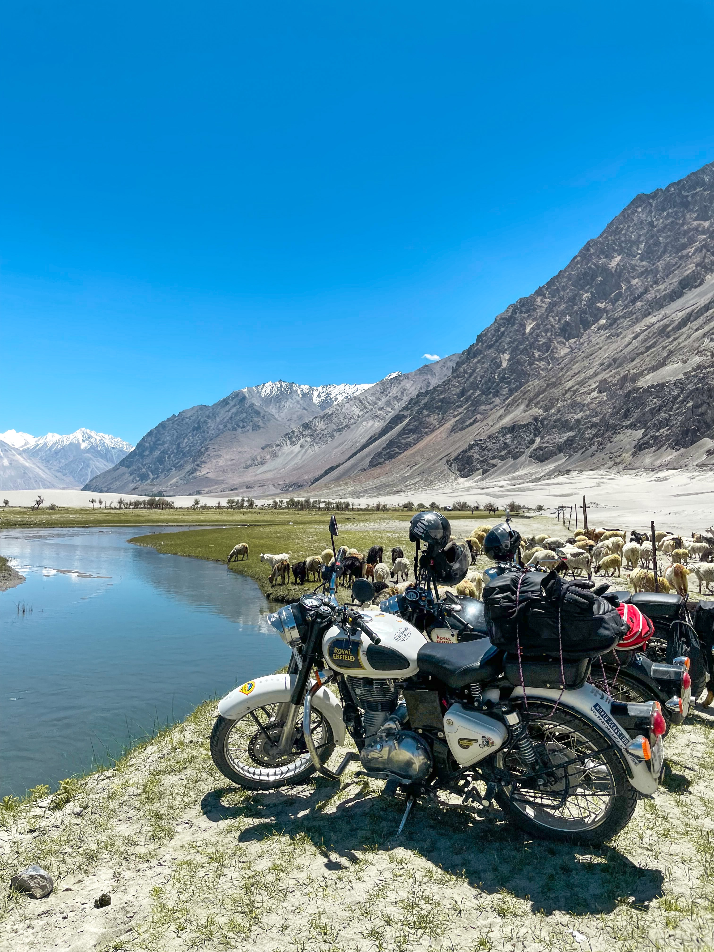 leh ladakh