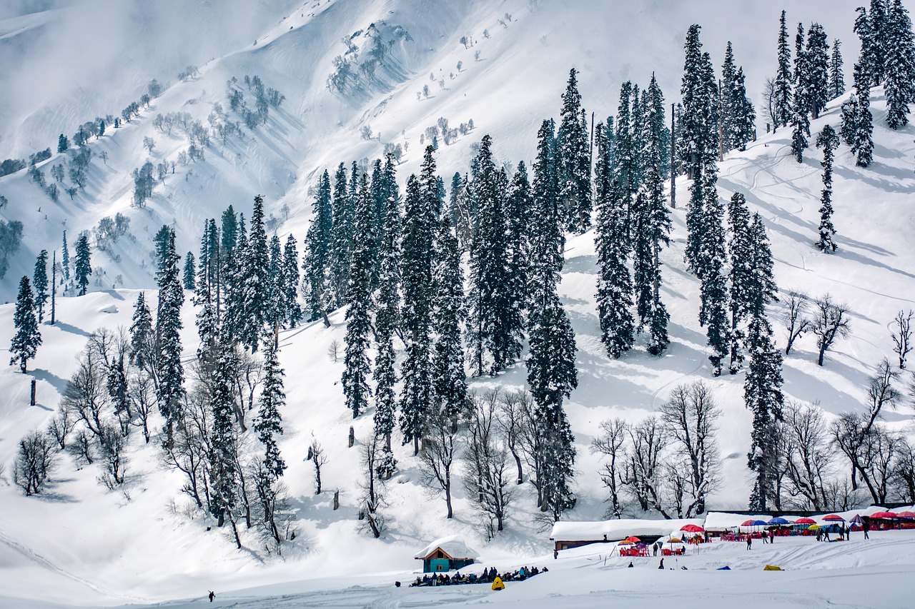 Himachal Packages
