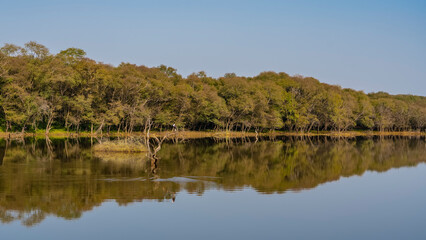 Ranthambore & Pushkar