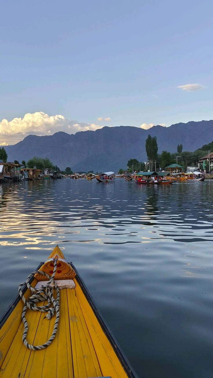 Kashmir