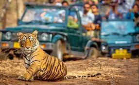 Weekend Holidays with Ranthambore