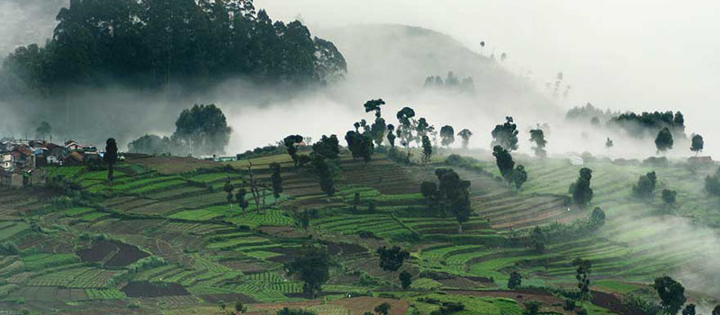 Kodaikanal