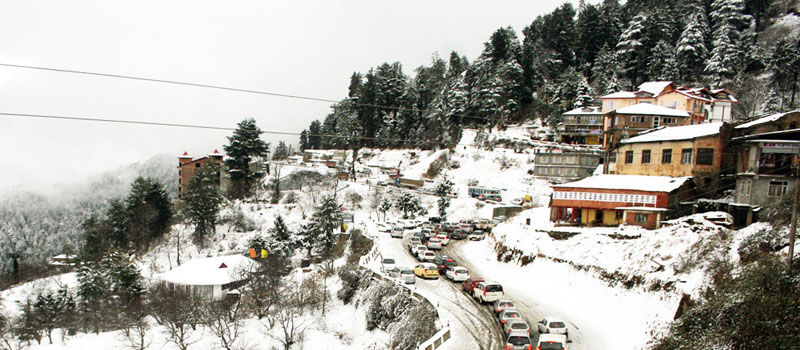 Kurfi, Shimla