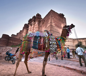 Complete Rajasthan Tour Package