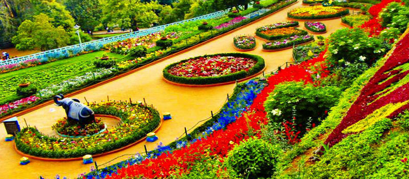 Botanical Gardens, Ooty