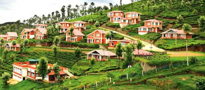 Ooty