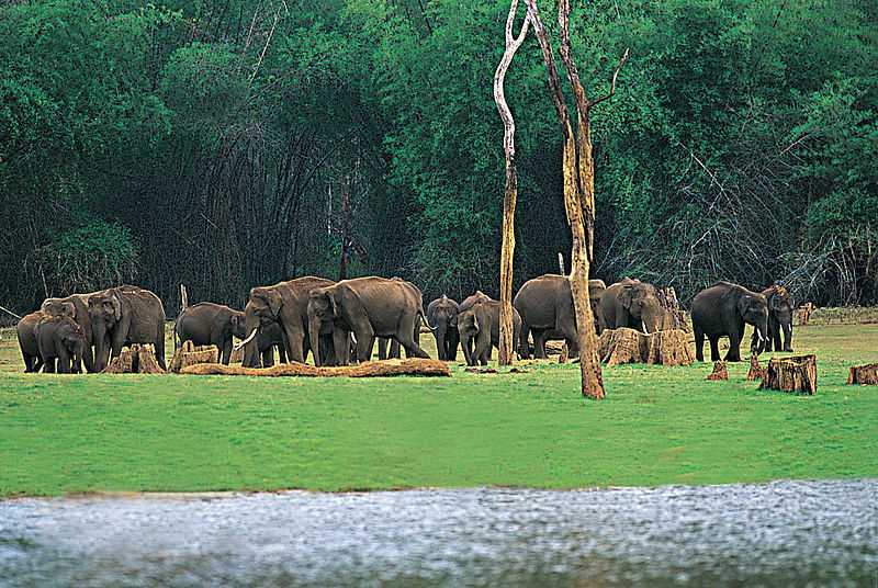 Thekkady