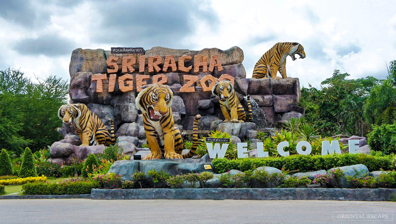 Tiger Zoo