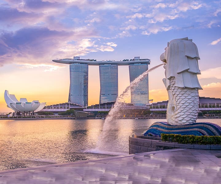 Enchanting Singapore