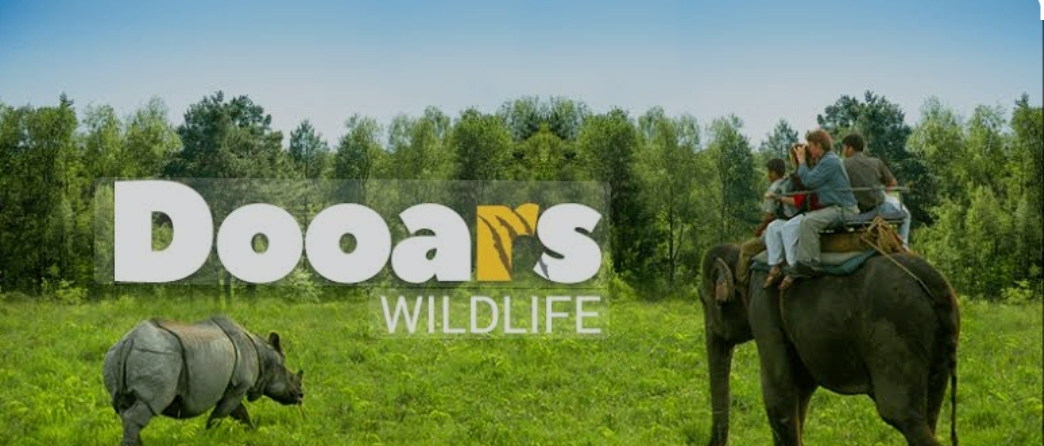 Wild Dooars l Sumaru Tourism