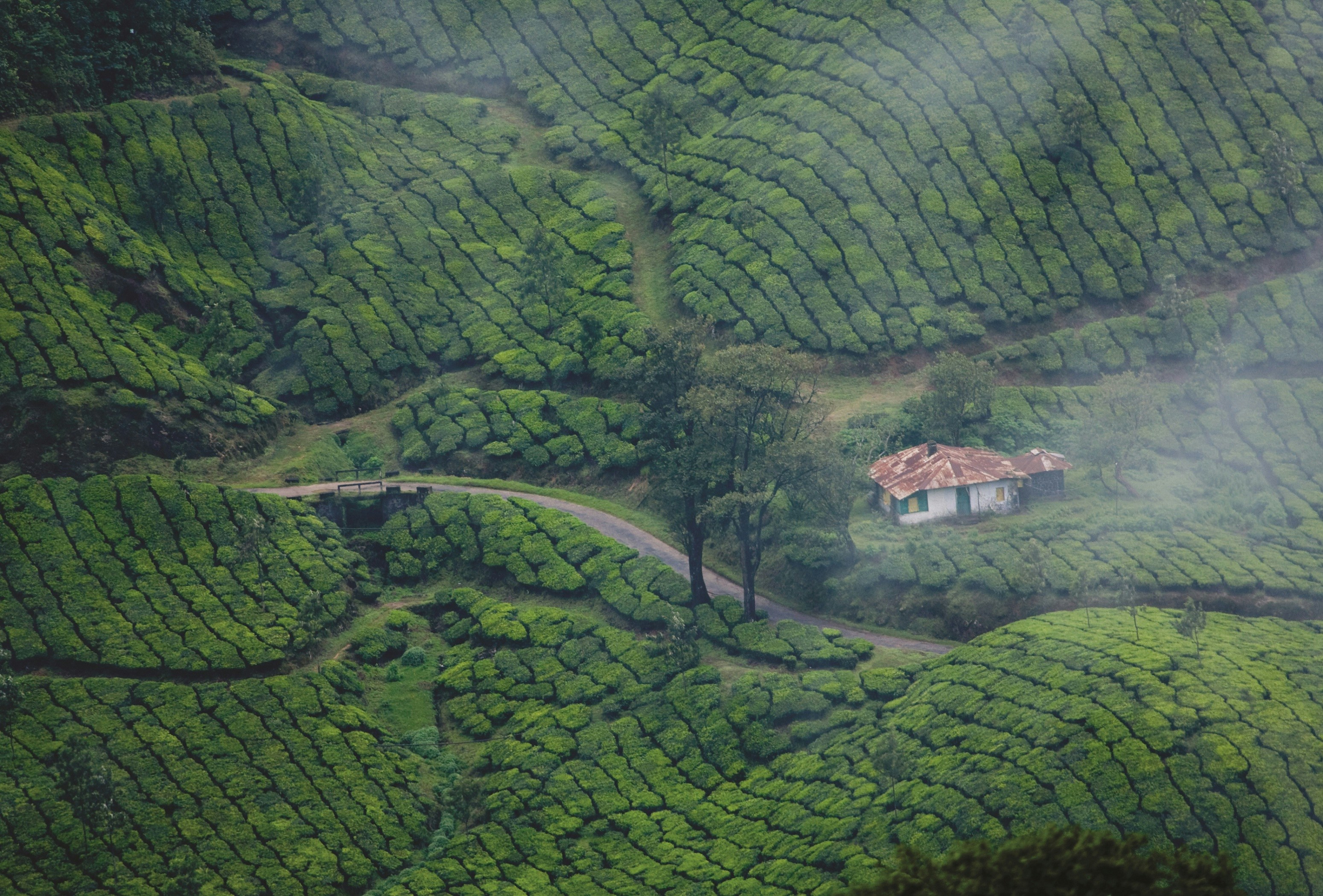 Exotic Kerala Luxury Package