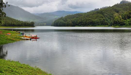 Mattupetty Dam Munnar