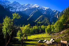 Magical Himachal Luxury Package