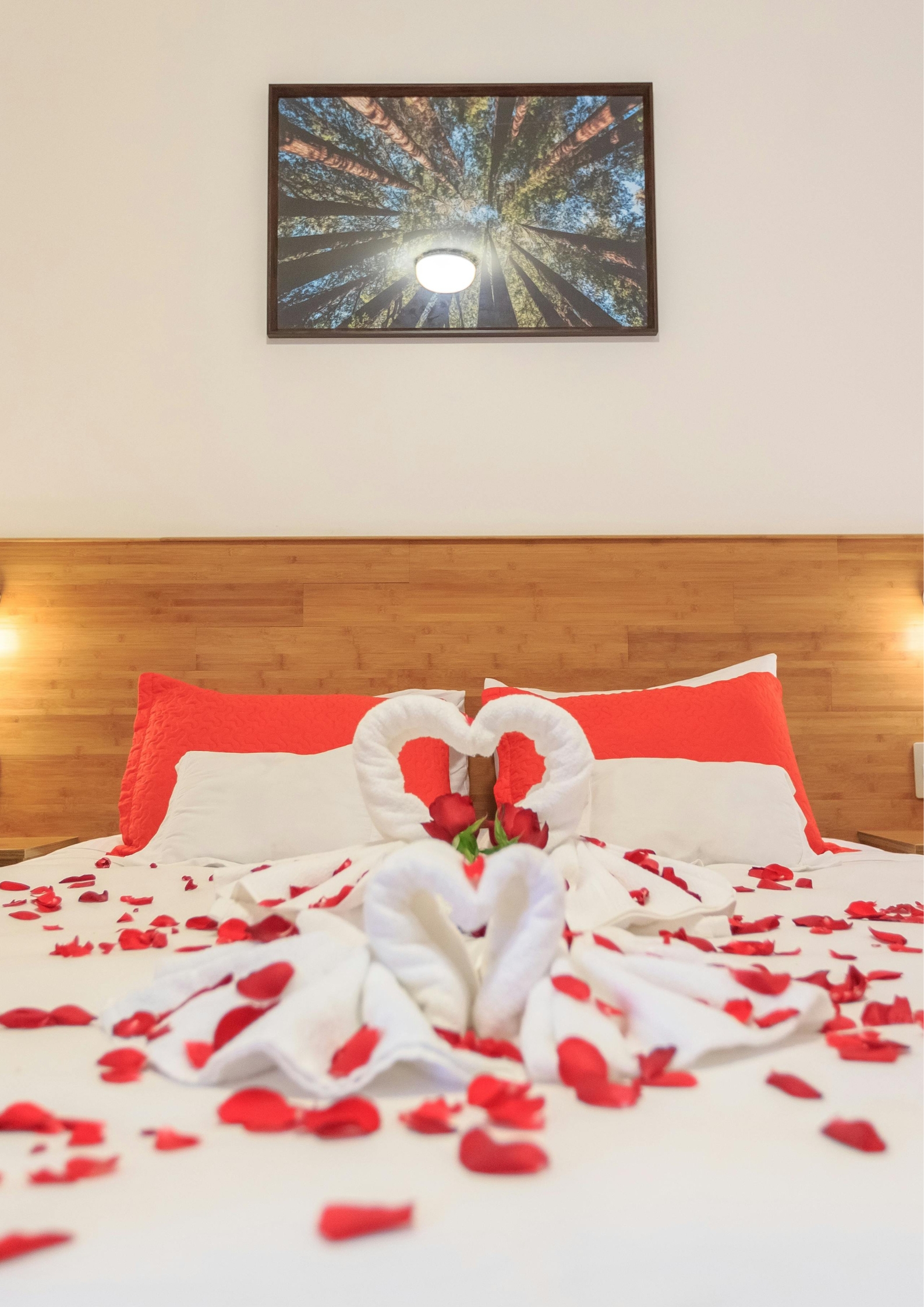 Special Bed Decoration