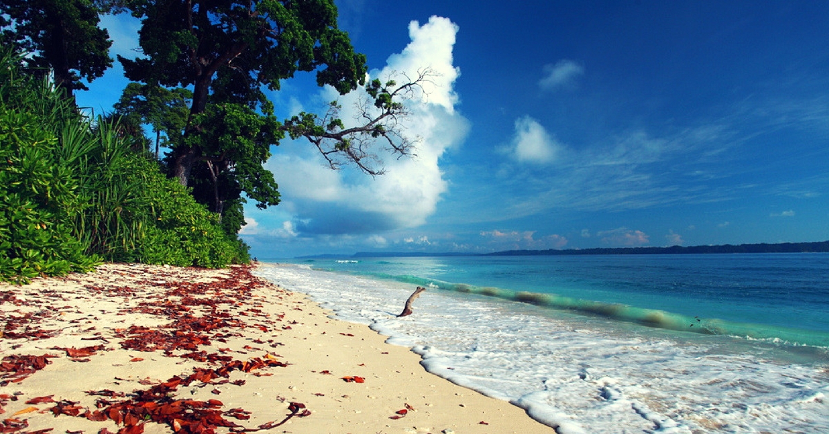 4N 5Days Andaman-Havelock