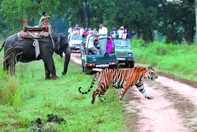 Jim Corbett 2N3D