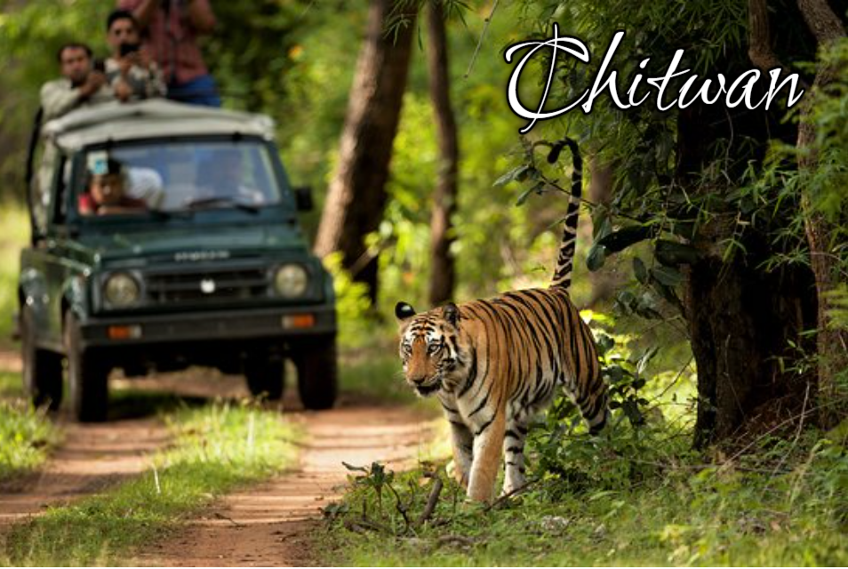 4 Days 3 Nights Lumbini -Pokhara-Chitwan