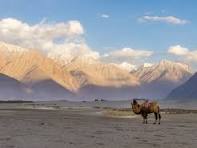 LADAKH 6 NIGHTS WITH TURTUK  2N LEH 2N NUBHRA 1N PANGONG 1N LEH