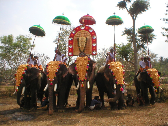ELEPHANT KERALA