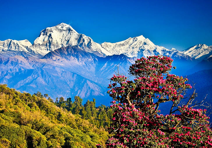 Wonderful Kashmir