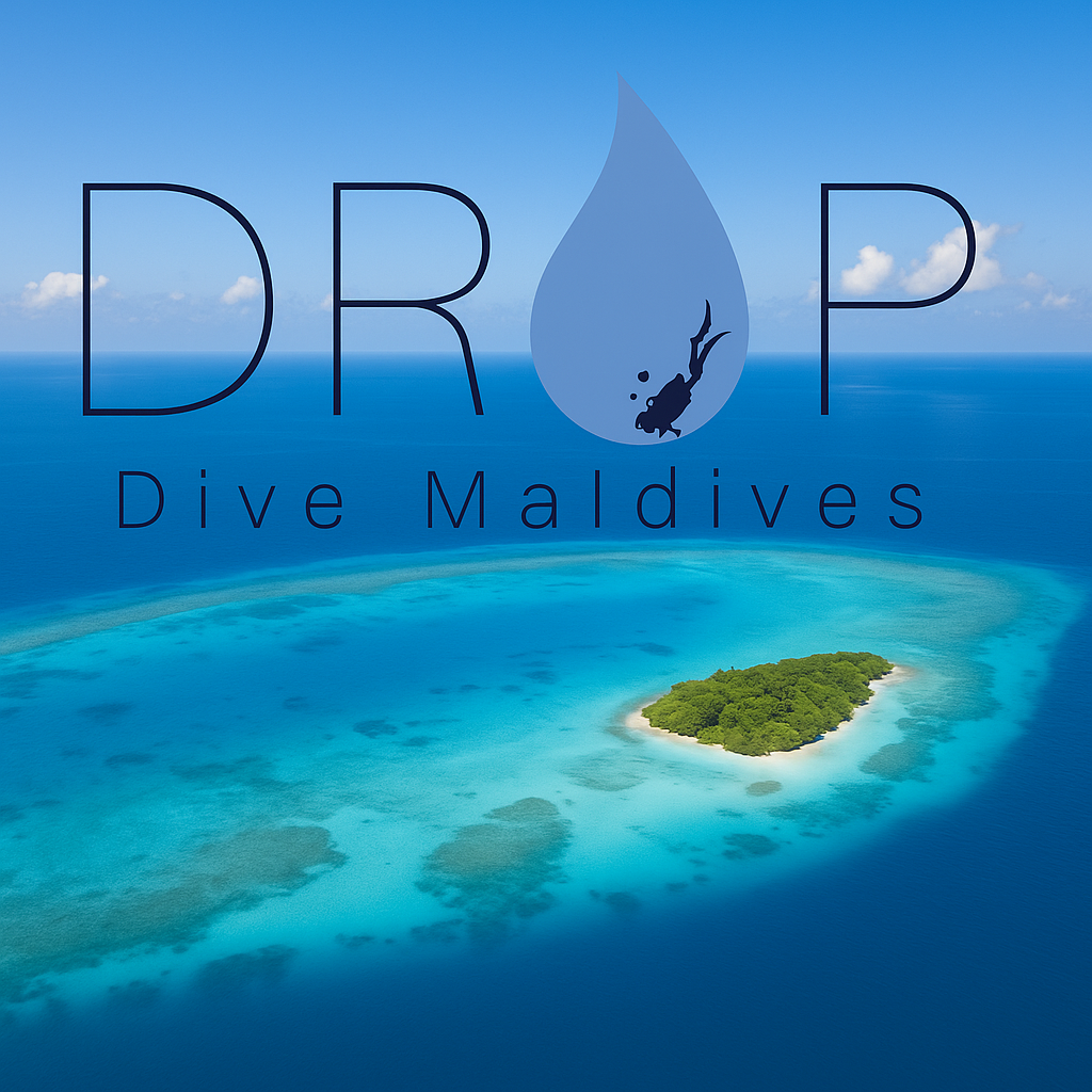 1-3 Dives