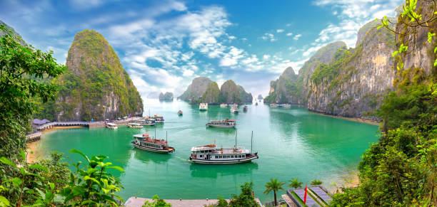 BEST OF VIETNAM 8D7N