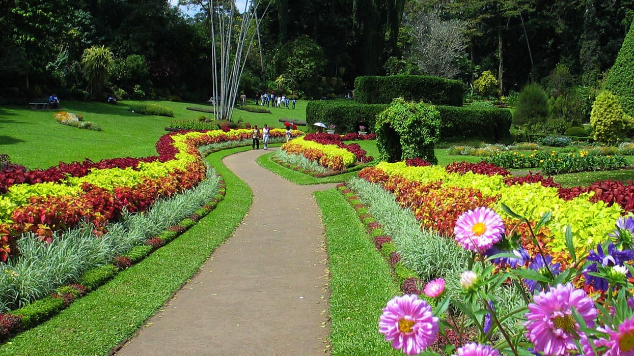 Peradeniya Botanical Garden