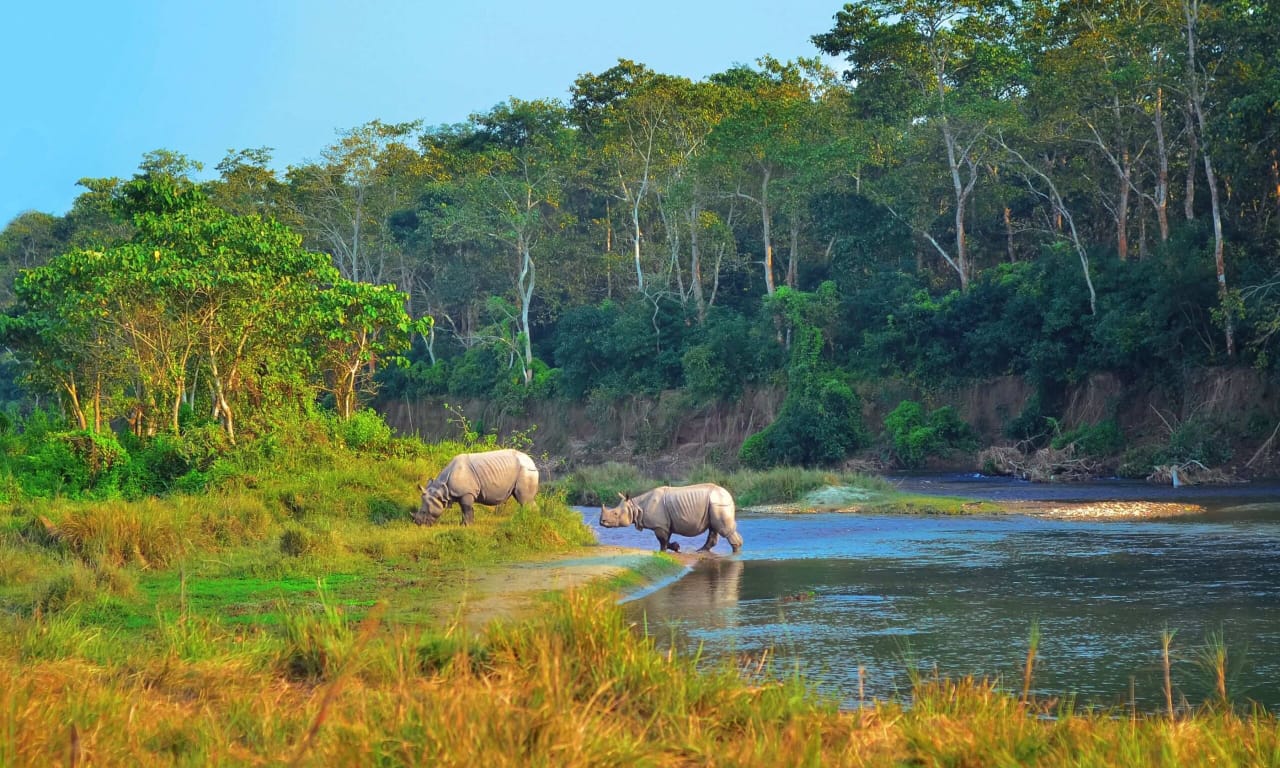 Chitwan National Park