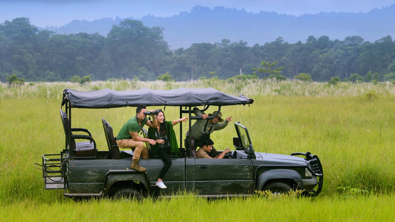 Jungle safari