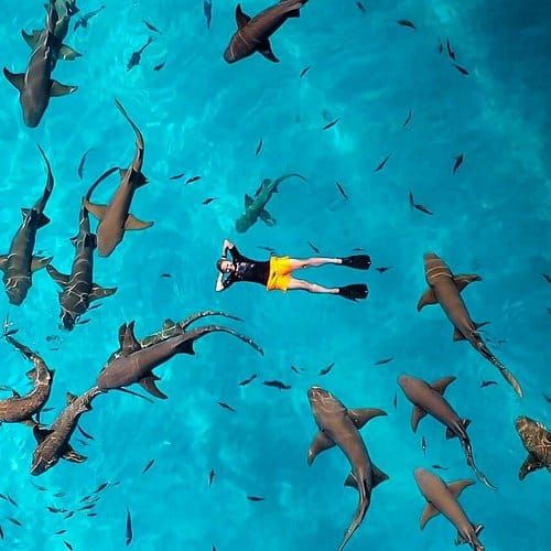 Maldives Beach Swim