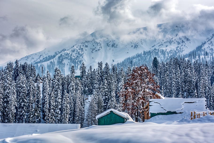 Kashmir