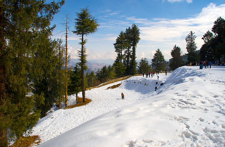 Shimla