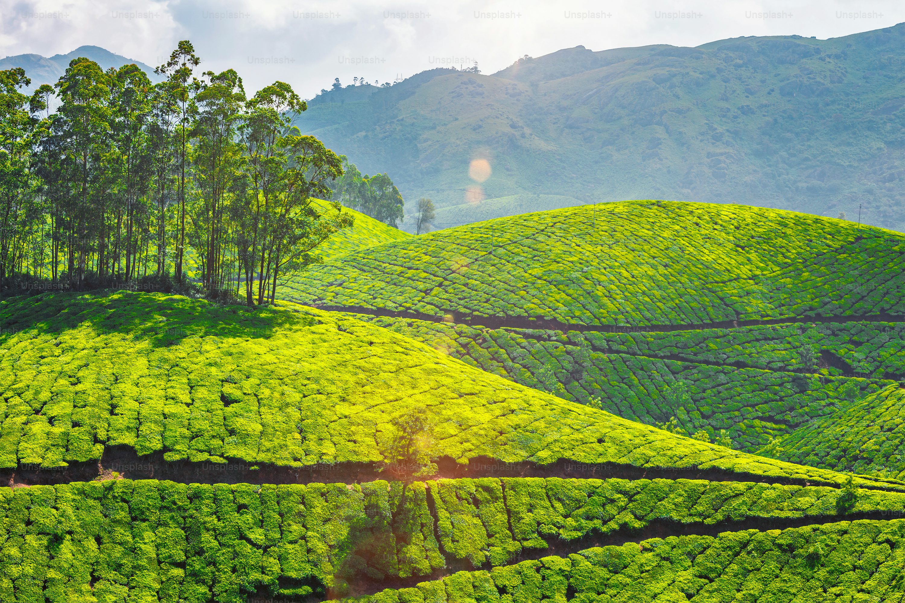 Munnar