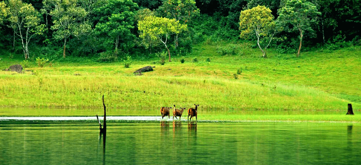 Thekkady