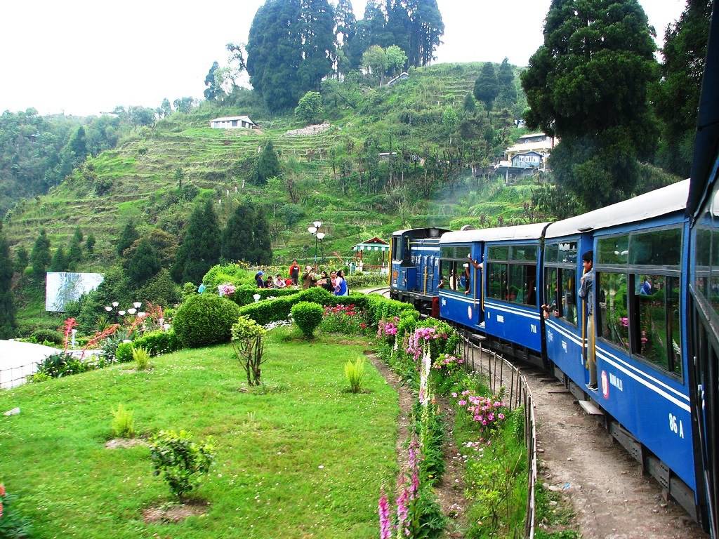 Gangtok Darjeeling North East Tour Package