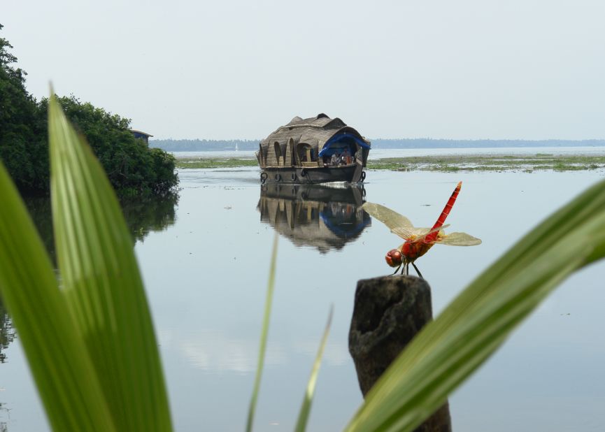 Kerala Dreamscape: Your Unforgettable Voyage Begins